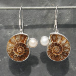 Ammonite with Pearl Earrings