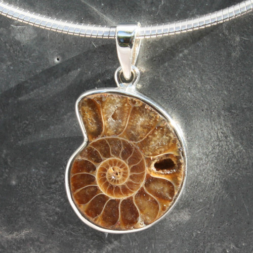 Ammonite Pendant Small
