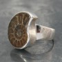 Ammonite Ring 1